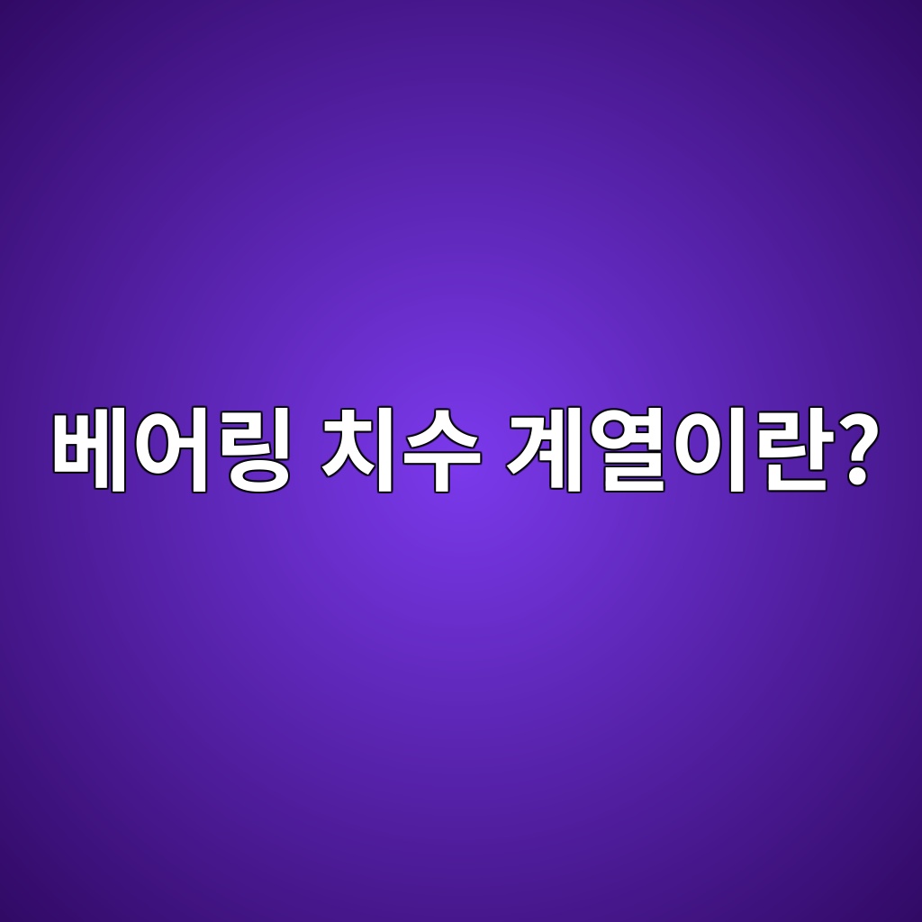 베어링 치수 계열이란?