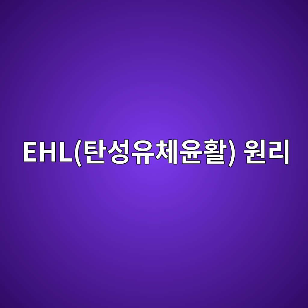 ehled8384ec84b1ec9ca0ecb2b4ec9ca4ed999c ec9b90eba6ac 1785902404